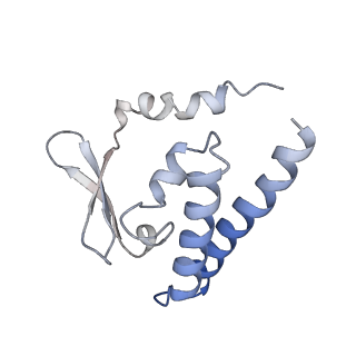 9626_6ahr_K_v1-2
Cryo-EM structure of human Ribonuclease P