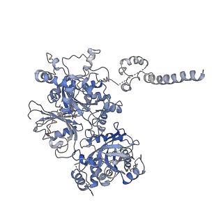 9627_6ahu_B_v1-1
Cryo-EM structure of human Ribonuclease P with mature tRNA