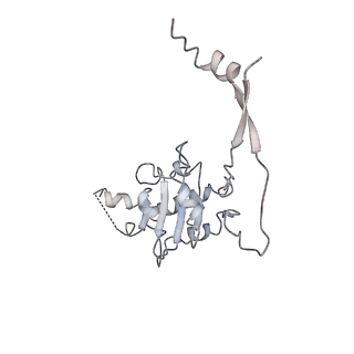 9627_6ahu_C_v1-1
Cryo-EM structure of human Ribonuclease P with mature tRNA