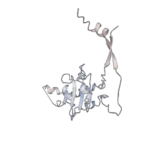 9627_6ahu_C_v1-2
Cryo-EM structure of human Ribonuclease P with mature tRNA