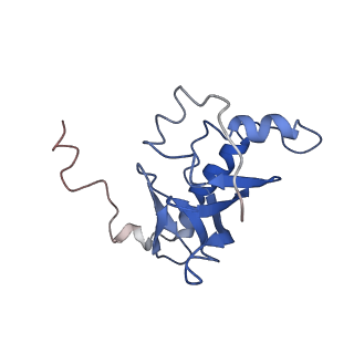 9627_6ahu_D_v1-1
Cryo-EM structure of human Ribonuclease P with mature tRNA