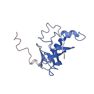 9627_6ahu_D_v1-2
Cryo-EM structure of human Ribonuclease P with mature tRNA