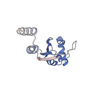 9627_6ahu_E_v1-1
Cryo-EM structure of human Ribonuclease P with mature tRNA