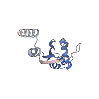 9627_6ahu_E_v1-2
Cryo-EM structure of human Ribonuclease P with mature tRNA