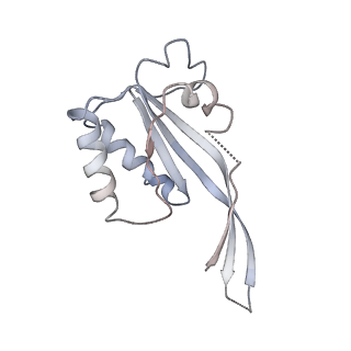 9627_6ahu_F_v1-1
Cryo-EM structure of human Ribonuclease P with mature tRNA