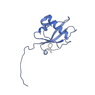 9627_6ahu_H_v1-1
Cryo-EM structure of human Ribonuclease P with mature tRNA