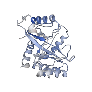 9627_6ahu_I_v1-1
Cryo-EM structure of human Ribonuclease P with mature tRNA