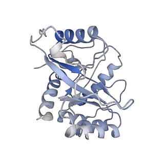 9627_6ahu_I_v1-2
Cryo-EM structure of human Ribonuclease P with mature tRNA