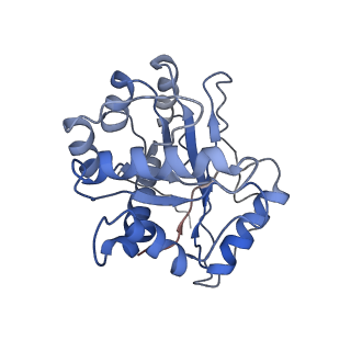 9627_6ahu_J_v1-1
Cryo-EM structure of human Ribonuclease P with mature tRNA