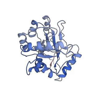 9627_6ahu_J_v1-2
Cryo-EM structure of human Ribonuclease P with mature tRNA