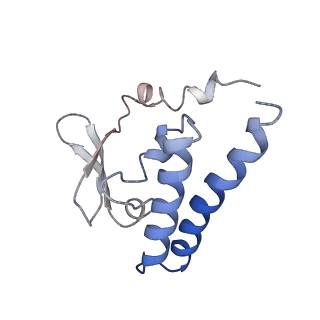 9627_6ahu_K_v1-1
Cryo-EM structure of human Ribonuclease P with mature tRNA