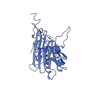 9627_6ahu_L_v1-1
Cryo-EM structure of human Ribonuclease P with mature tRNA