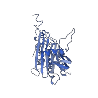 9627_6ahu_L_v1-2
Cryo-EM structure of human Ribonuclease P with mature tRNA