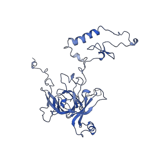 11796_7aih_A_v1-0
The Large subunit of the Kinetoplastid mitochondrial ribosome