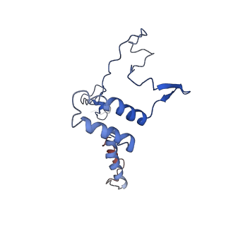 11796_7aih_Aa_v1-0
The Large subunit of the Kinetoplastid mitochondrial ribosome
