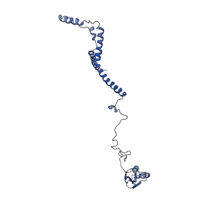 11796_7aih_Ab_v1-0
The Large subunit of the Kinetoplastid mitochondrial ribosome