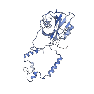 11796_7aih_Ac_v1-0
The Large subunit of the Kinetoplastid mitochondrial ribosome