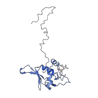 11796_7aih_Ad_v1-0
The Large subunit of the Kinetoplastid mitochondrial ribosome