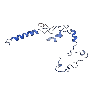 11796_7aih_Af_v1-0
The Large subunit of the Kinetoplastid mitochondrial ribosome