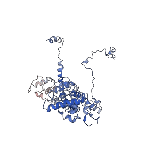 11796_7aih_Ah_v1-0
The Large subunit of the Kinetoplastid mitochondrial ribosome