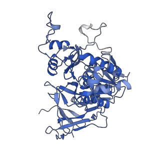 11796_7aih_Ai_v1-0
The Large subunit of the Kinetoplastid mitochondrial ribosome