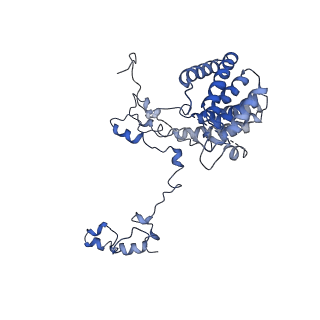11796_7aih_Aj_v1-0
The Large subunit of the Kinetoplastid mitochondrial ribosome