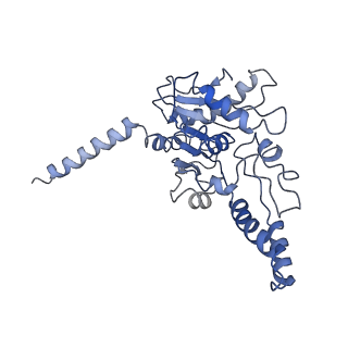 11796_7aih_Ak_v1-0
The Large subunit of the Kinetoplastid mitochondrial ribosome