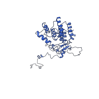 11796_7aih_Am_v1-0
The Large subunit of the Kinetoplastid mitochondrial ribosome