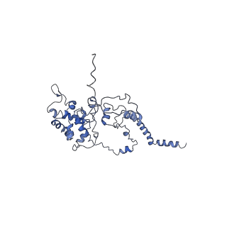 11796_7aih_An_v1-0
The Large subunit of the Kinetoplastid mitochondrial ribosome