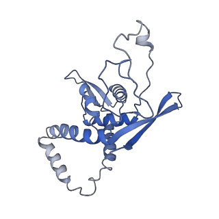 11796_7aih_Ap_v1-0
The Large subunit of the Kinetoplastid mitochondrial ribosome