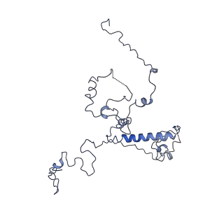 11796_7aih_Aq_v1-0
The Large subunit of the Kinetoplastid mitochondrial ribosome