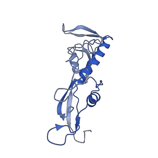 11796_7aih_Ar_v1-0
The Large subunit of the Kinetoplastid mitochondrial ribosome