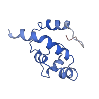 11796_7aih_As_v1-0
The Large subunit of the Kinetoplastid mitochondrial ribosome