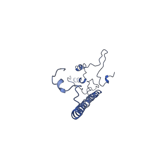 11796_7aih_Au_v1-0
The Large subunit of the Kinetoplastid mitochondrial ribosome
