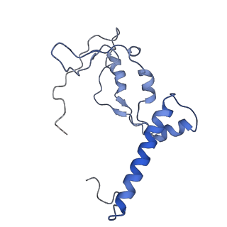 11796_7aih_Av_v1-0
The Large subunit of the Kinetoplastid mitochondrial ribosome