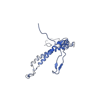 11796_7aih_Aw_v1-0
The Large subunit of the Kinetoplastid mitochondrial ribosome