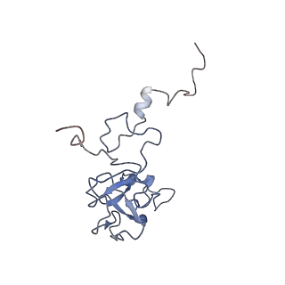 11796_7aih_Ax_v1-0
The Large subunit of the Kinetoplastid mitochondrial ribosome