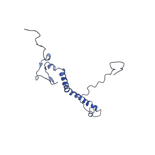 11796_7aih_Ay_v1-0
The Large subunit of the Kinetoplastid mitochondrial ribosome