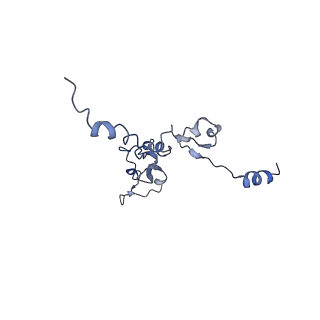 11796_7aih_Az_v1-0
The Large subunit of the Kinetoplastid mitochondrial ribosome