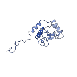 11796_7aih_BA_v1-0
The Large subunit of the Kinetoplastid mitochondrial ribosome