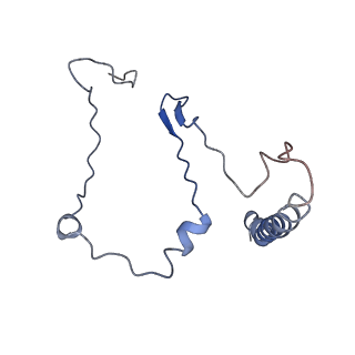 11796_7aih_BB_v1-0
The Large subunit of the Kinetoplastid mitochondrial ribosome