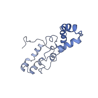 11796_7aih_BC_v1-0
The Large subunit of the Kinetoplastid mitochondrial ribosome