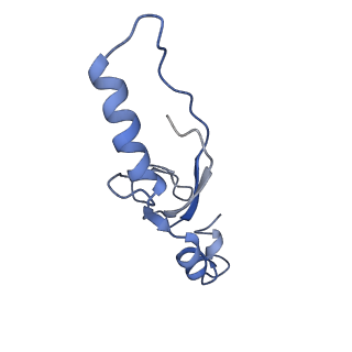 11796_7aih_BD_v1-0
The Large subunit of the Kinetoplastid mitochondrial ribosome