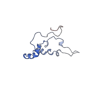 11796_7aih_BF_v1-0
The Large subunit of the Kinetoplastid mitochondrial ribosome