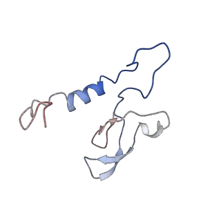 11796_7aih_BG_v1-0
The Large subunit of the Kinetoplastid mitochondrial ribosome