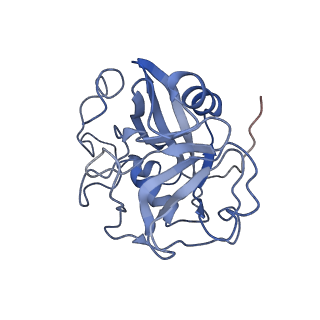 11796_7aih_BH_v1-0
The Large subunit of the Kinetoplastid mitochondrial ribosome