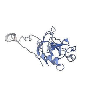 11796_7aih_BI_v1-0
The Large subunit of the Kinetoplastid mitochondrial ribosome