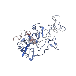 11796_7aih_BL_v1-0
The Large subunit of the Kinetoplastid mitochondrial ribosome