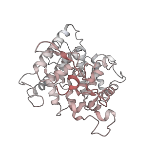 11796_7aih_BM_v1-0
The Large subunit of the Kinetoplastid mitochondrial ribosome