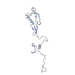11796_7aih_Bj_v1-0
The Large subunit of the Kinetoplastid mitochondrial ribosome